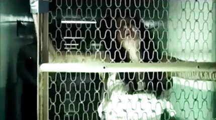 дивитись порно відео