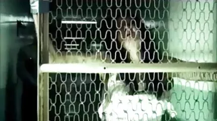Грудаста американка переслідує спаленого дивитись порно відео Казанову
