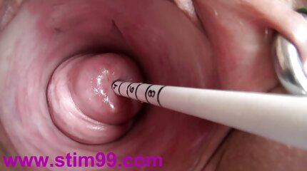 секс людей з тваринами